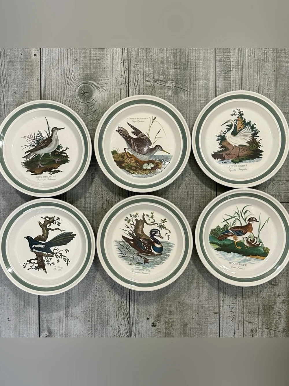 Vintage Portmeirion Birds of Britain 11” Plates Set of 6 Green Band 1978
